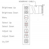 IS31AP2005-DLS2-EB