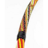 CBMS-10-P
