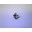 101-TS6511R1602-EV