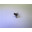 101-TS6511R1606-EV