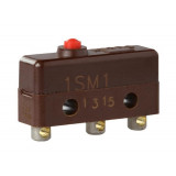 1SM1