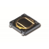 PTS530 GG065 SMTR LFS