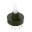 R20407RR03Q