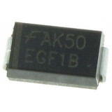 EGF1B