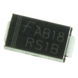 RS1B