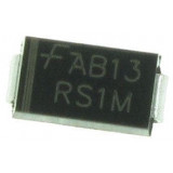 RS1M