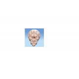 410-71A