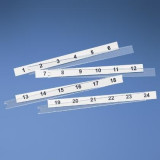 C6PPLK1-24