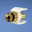 NKBPBEIY