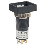 KB25RKG01