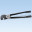 CCH81-S10-C0