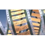 DSCE1K9.5504